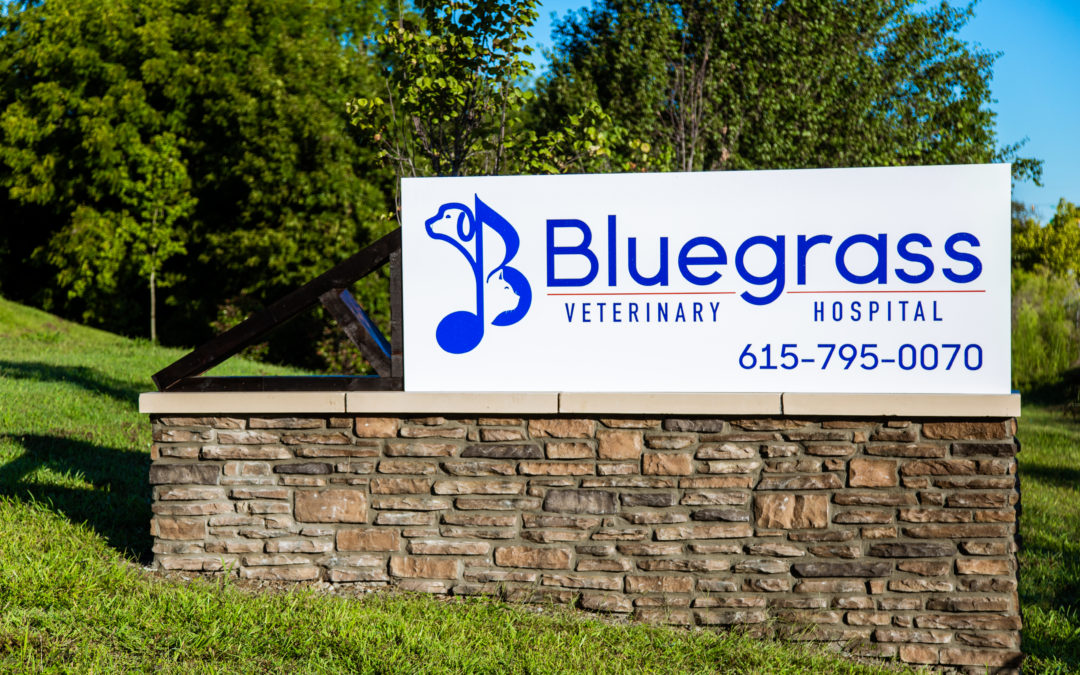 Primus Companies | Bluegrass Veterinary Hospital Project